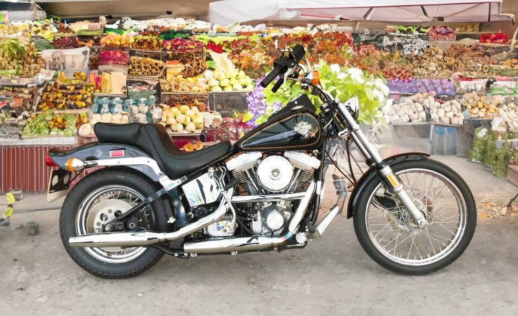 Harley-Davidson Softail FXST Evolution