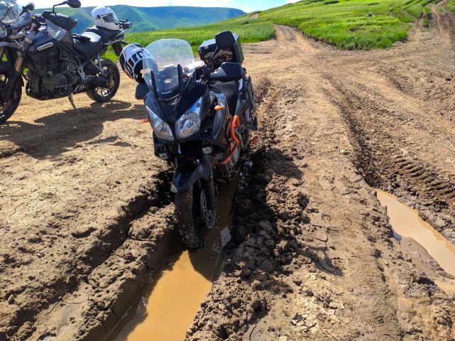 Suzuki DL1000 V-STROM(K5-K7). Бюджетний та міцний